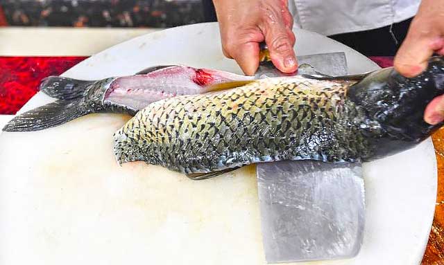 麻辣鱼火锅（腌鱼）